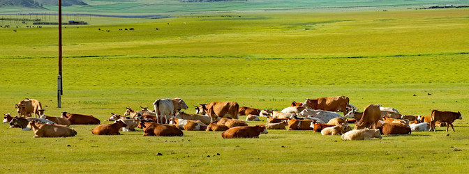 Similar image 21856582