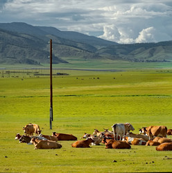 Similar image 21856599