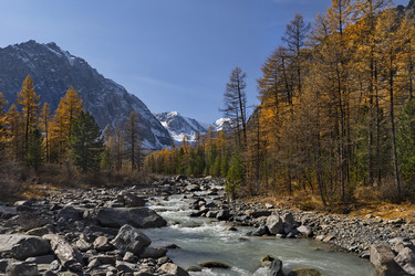 Similar image 21856408