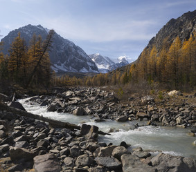 Similar image 21856409