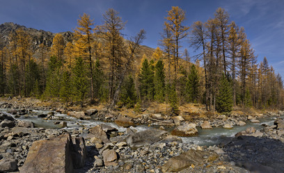 Similar image 21856410