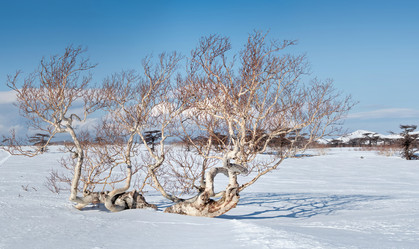 Similar image 21850623