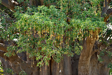 Similar image 21850627