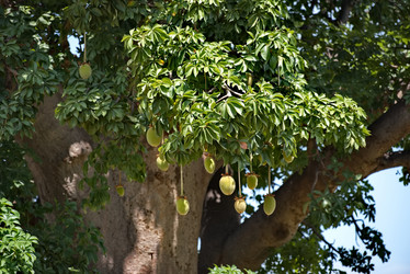 Similar image 21850628