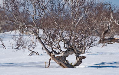 Similar image 21850631