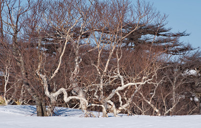 Similar image 21850632