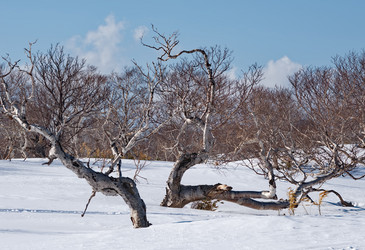 Similar image 21850633