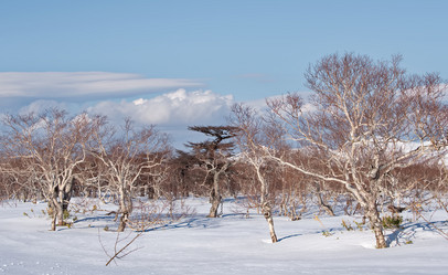 Similar image 21850634