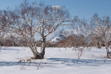 Similar image 21850635