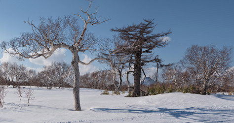 Similar image 21850636