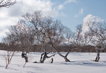 Similar image 21850637