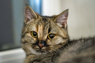 Similar image 21848090