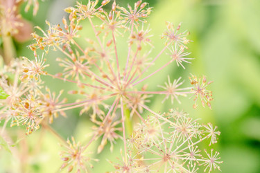 Similar image 21848092