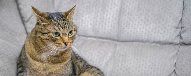 Similar image 21848095