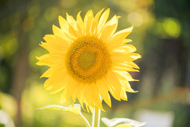 Similar image 21848096