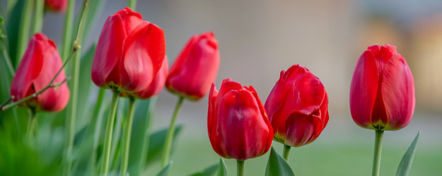 Similar image 21848099