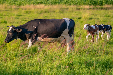 Similar image 21848105