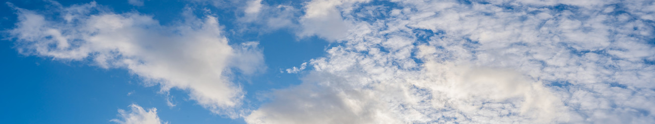 Similar image 21848108