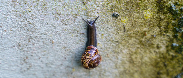 Similar image 21848110