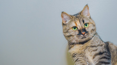 Similar image 21848115