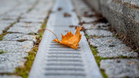 Similar image 21848122