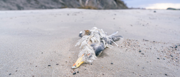 Similar image 21848127