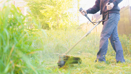 Similar image 21848128