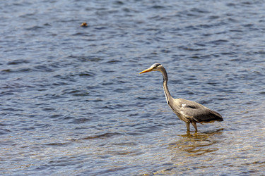 Similar image 21856015