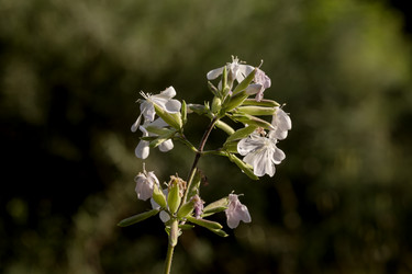 Similar image 21856020