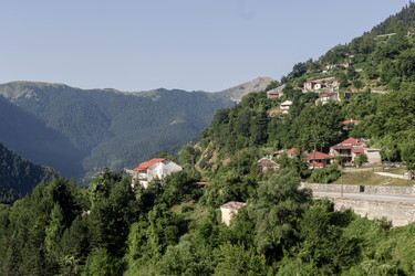 Similar image 21856022