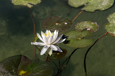 Similar image 21856028