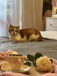 Similar image 21847927