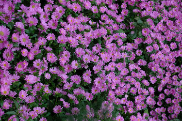 Similar image 21847928