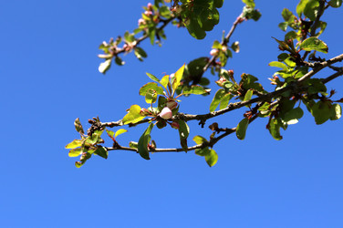 Similar image 21849015