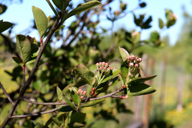 Similar image 21849016