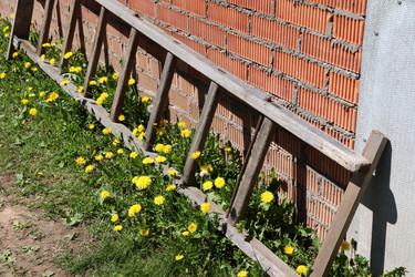 Similar image 21849017