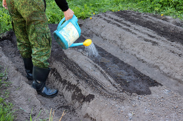 Similar image 21849018