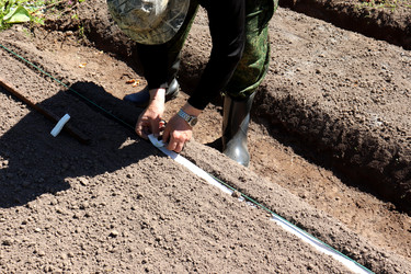 Similar image 21849019