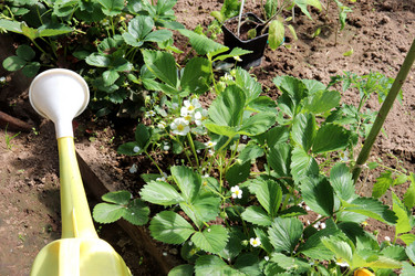 Similar image 21849020