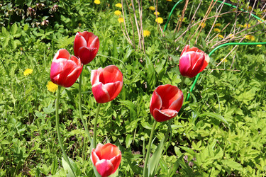 Similar image 21849021