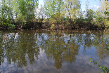 Similar image 21847885