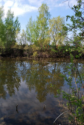 Similar image 21847886