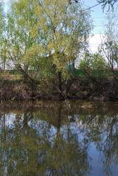 Similar image 21847888