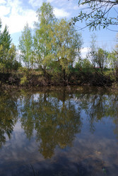 Similar image 21847889