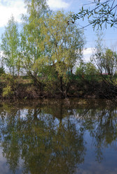 Similar image 21847890