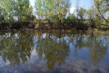 Similar image 21847891