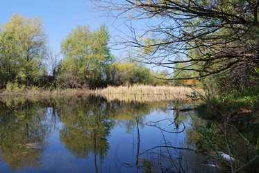 Similar image 21847892