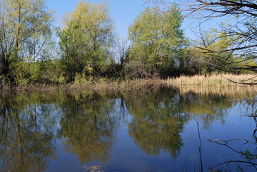 Similar image 21847894