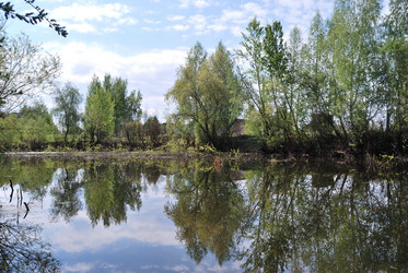 Similar image 21847895