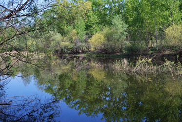 Similar image 21847896